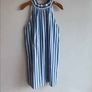 J. Crew Blue and White Backless Dress